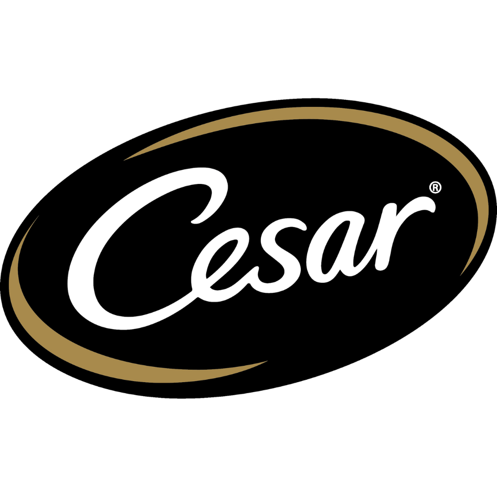 Cesar